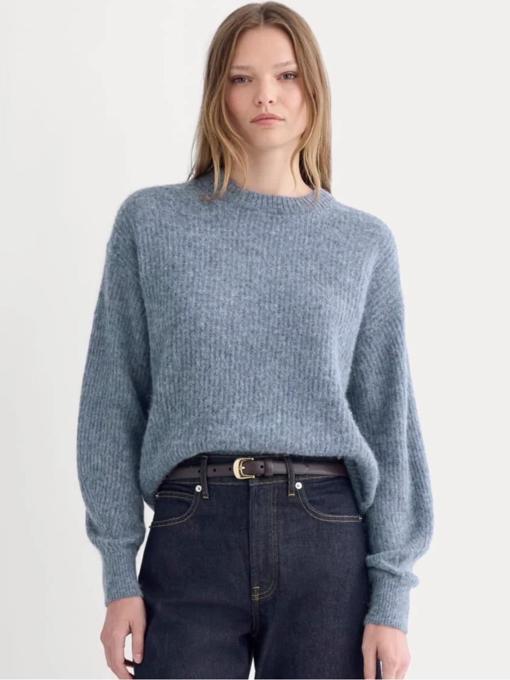 Everlane “The Cocoon Crew in Alpaca” blue sweater, size L